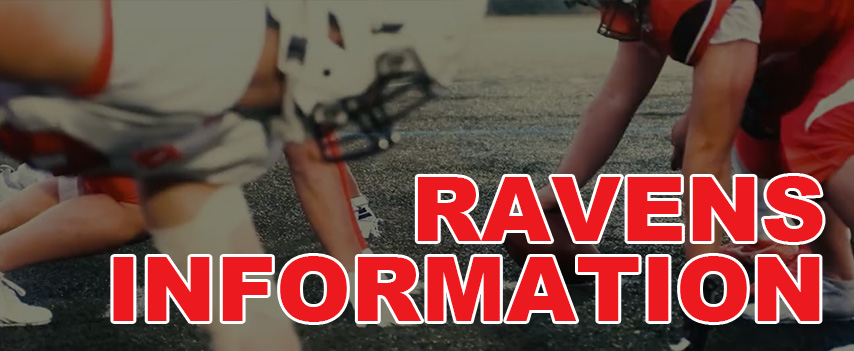 レイバンズ情報